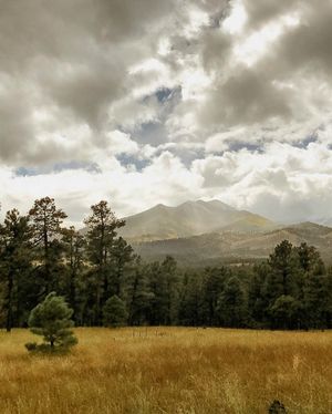Image post by @nauflagstaff on Instagram