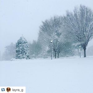 Image post by @fairfieldu on Instagram