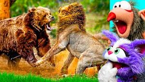 Video post by @reactory on YouTube