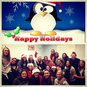 Image post by @hofstra_wlax on Instagram
