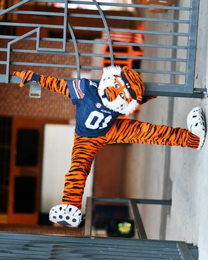 Image post by @aubiethetiger01 on Instagram
