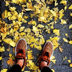 Image post by @puma on Instagram