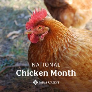 Image post by @farmcredit on Instagram