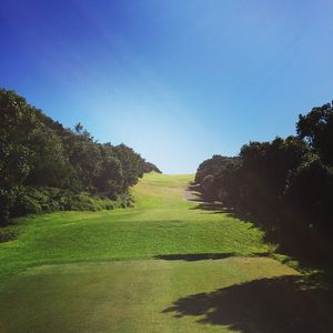 Image post by @davehorsey on Instagram