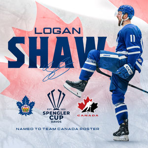 Image post by @torontomarlies on Instagram