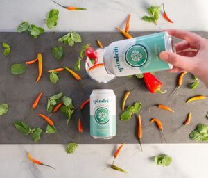 Image post by @drinkspindrift on Instagram