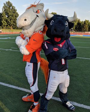 Image post by @texanstoro1 on Instagram