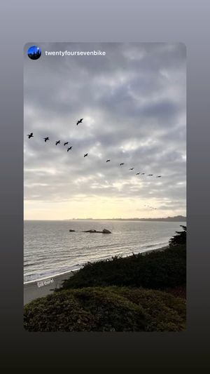 Video post by @ActionSportsConstruction on Facebook