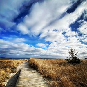 Image post by @andyfillmorehfx on Instagram