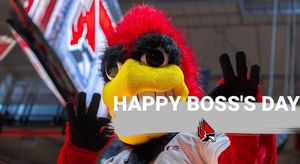 Image post by @ballstatewbb on Instagram