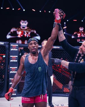 Image post by @bellatormma on Instagram