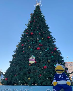 Image post by @thunderbugtbl on Instagram