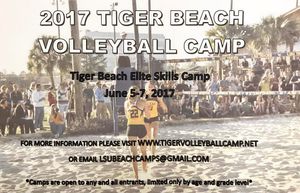 Image post by @lsubeachvb on Instagram