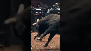 Video post by @pbr on YouTube