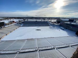 Image post by @unmlobofb on Instagram