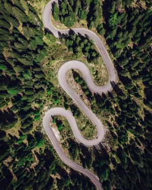 Image post by @theryan_reynolds on Instagram
