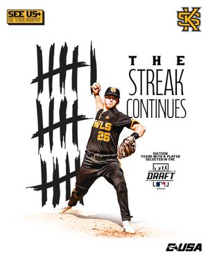 Image post by @ksuowlsbaseball on Instagram