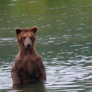Image post by @nationalparkservice on Instagram