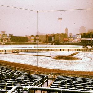 Image post by @rocredwings on Instagram