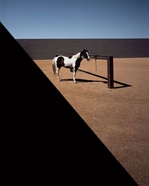Image post by @fubiz on Instagram