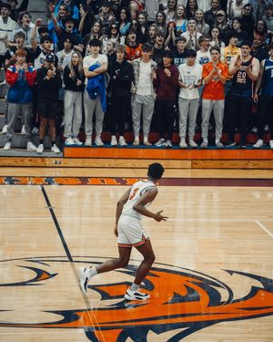 Image post by @madebyraffiv on Instagram