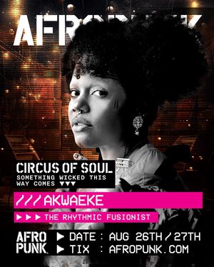 Image post by @afropunk on Instagram
