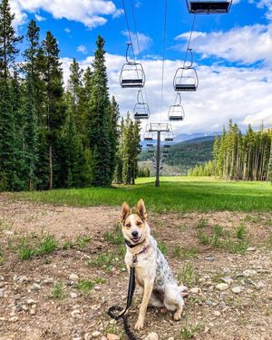 Image post by @winterparkresort on Instagram