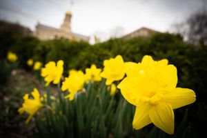 Image post by @uiowa on Instagram