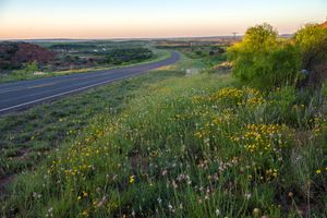 Image post by @txdot on Instagram