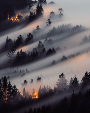 Image post by @fubiz on Instagram