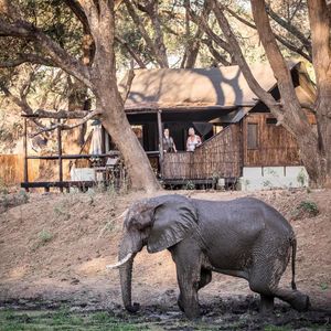 Image post by @chiawasafaris on Instagram