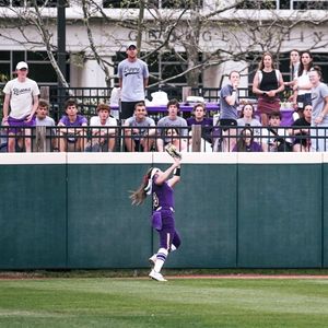 Image post by @lipscombbisons on Instagram