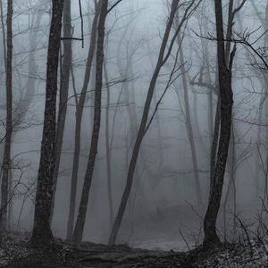 Image post by @jpotterphoto on Instagram
