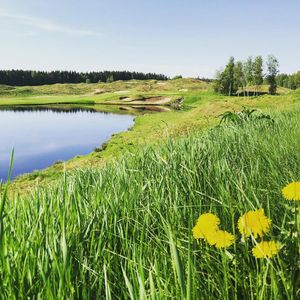 Image post by @alexxanderbjork on Instagram