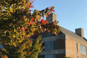 Image post by @olivetnazarene on Instagram