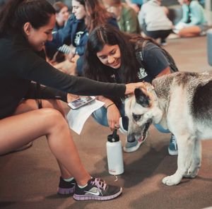 Image post by @nauflagstaff on Instagram