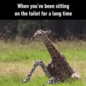 Image post by @9gag on Instagram
