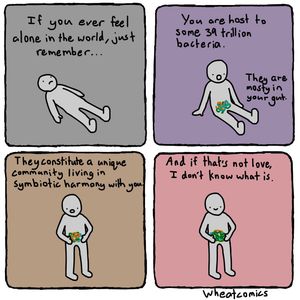 Image post by @9gag on Instagram