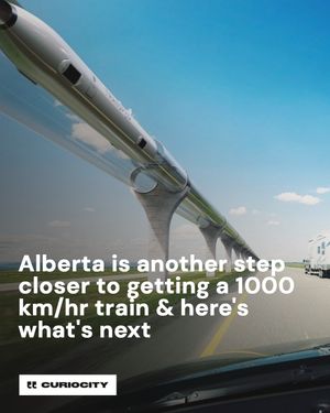 Image post by @curiocitycalgary on Instagram