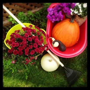 Image post by @kidsgardening on Instagram