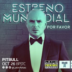 Image post by @pitbull on Twitter