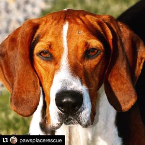 Image post by @laraleatrump on Instagram