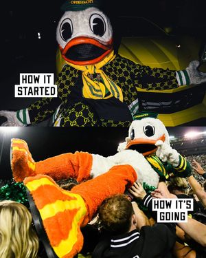Image post by @goducks on Instagram