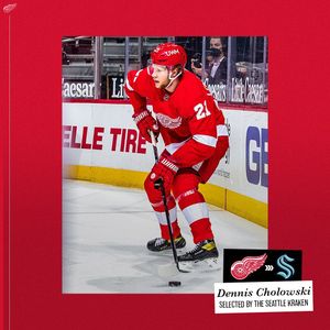 Image post by @detroitredwings on Instagram