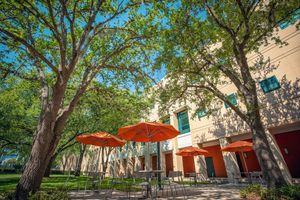 Image post by @univmiami on Instagram