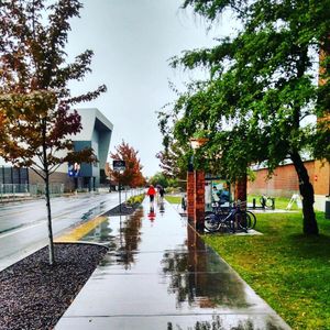 Image post by @nauflagstaff on Instagram