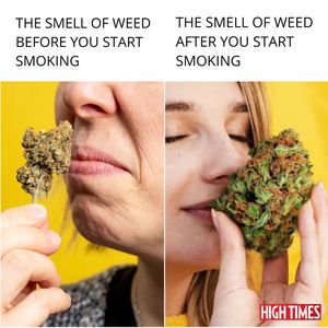 Image post by @hightimesmagazine on Instagram