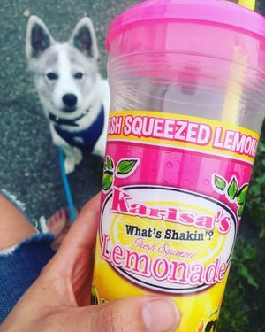 Image post by @karisamaxwell on Instagram