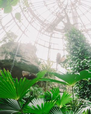 Image post by @will_insull on Instagram