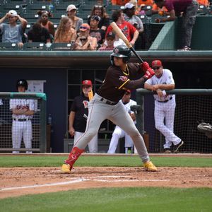 Image post by @tincaps on Instagram